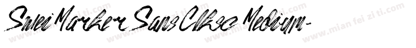 SweiMarkerSansClksc Medium字体转换